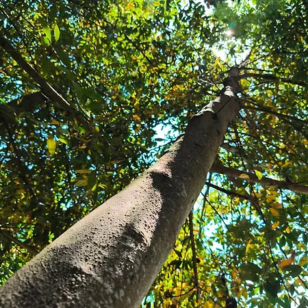 Πανδοχείο El Hondal