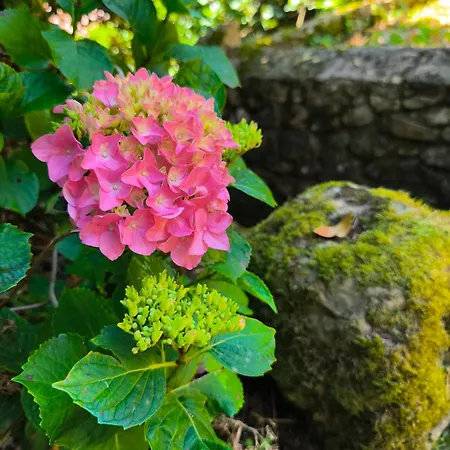 Πανδοχείο El Hondal Rudaguera