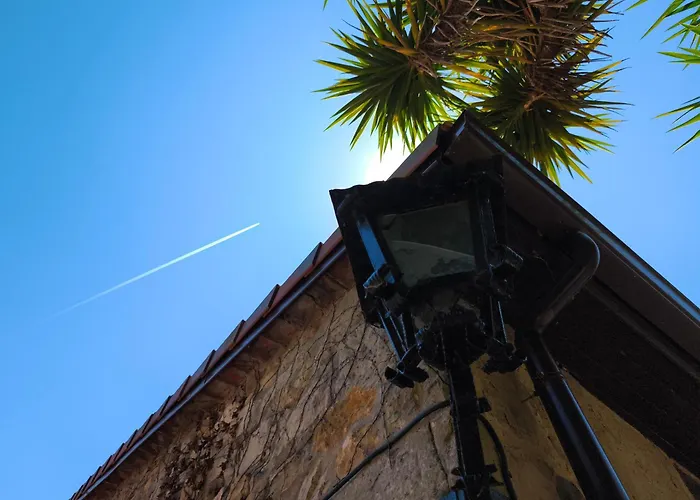 El Hondal 宾馆 Rudaguera