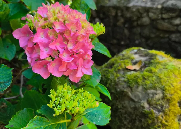 Inn El Hondal Rudaguera