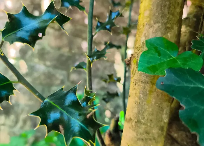 El Hondal Мини-отель Рудагера